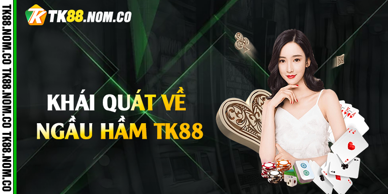 Khái quát về ngầu hầm Tk88